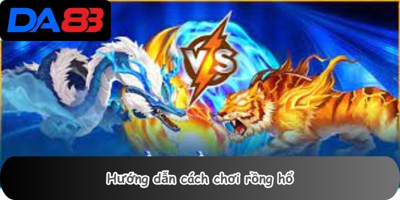 Hướng dẫn cách chơi rồng hổ