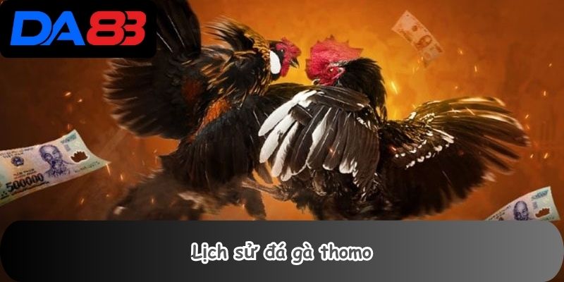 Lịch sử đá gà thomo